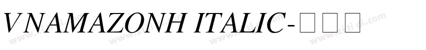 VNAmazonH Italic字体转换